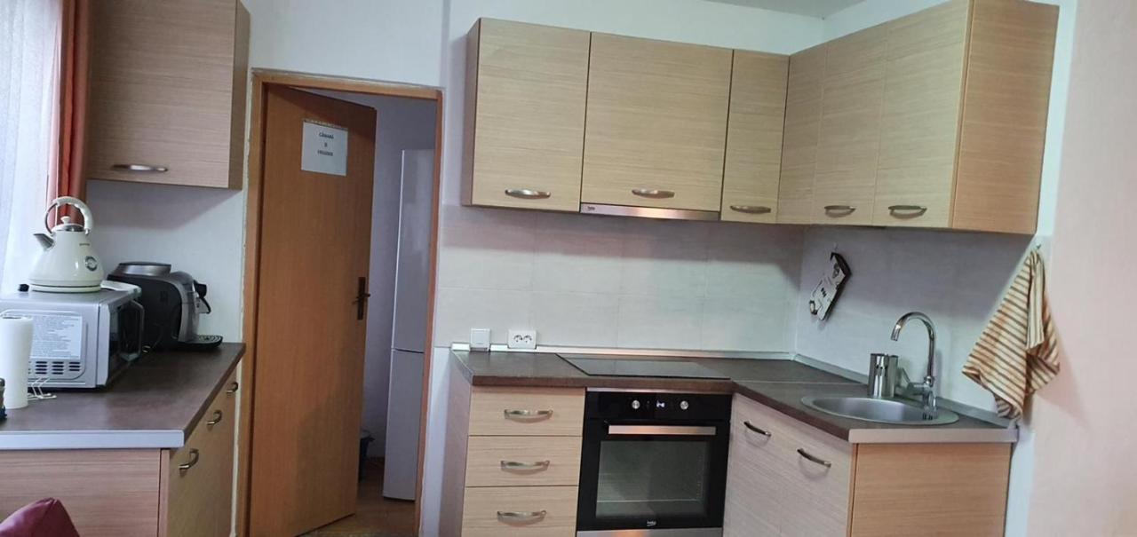 Casa La Danut Hotel Alsóvisó Kültér fotó